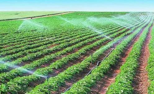 啊轻点灬太粗嗯太深小蓝视频农田高 效节水灌溉